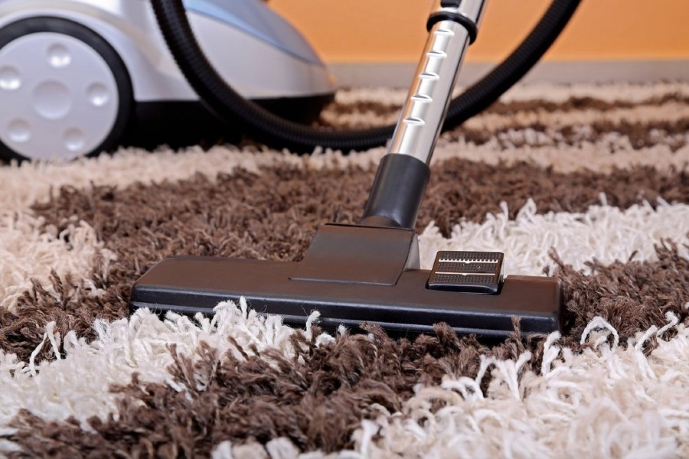 Pet hair removal from carpet