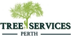 Tree Service Perth