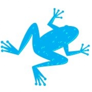 Blue Frog Services Pty Ltd