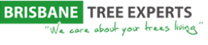 Brisbane Tree Experts