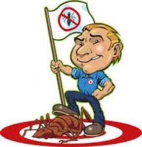 Pest Control at Affordable Price In Brisbane