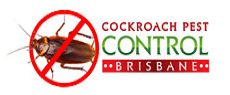 Cockroaches Control Brisbane