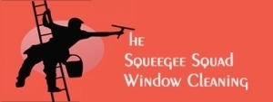 The Squeegee Squad Window Cleaning