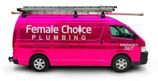 Female Choice Plumbing