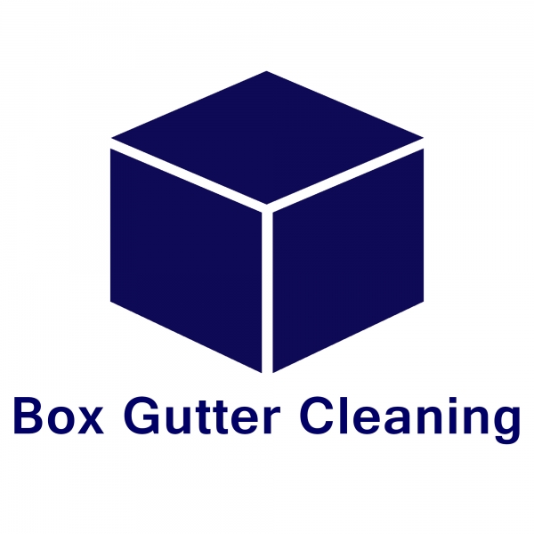 Box Gutter Cleaning