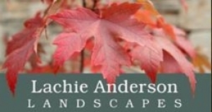Lachie Anderson Landscapes